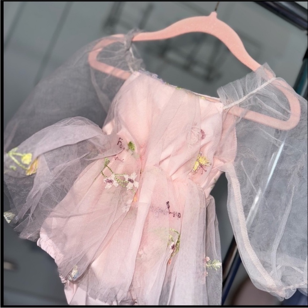 Tulle floral embroidered baby dress NWT